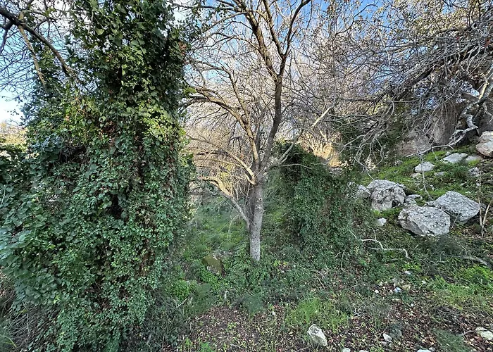 Tremythia Homes